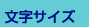 文字サイズ